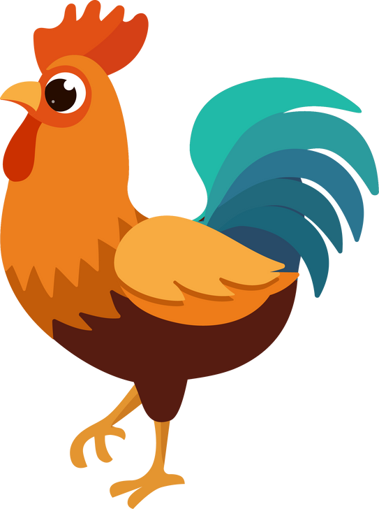 Rooster animal poultry bird